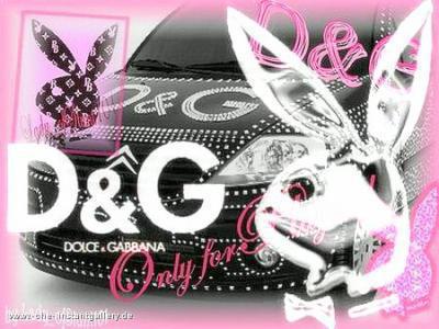play boy d&g 